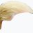 TrumpsHairstyle